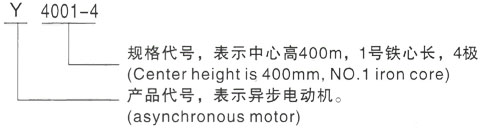 西安泰富西玛Y系列(H355-1000)高压YRKK4504-10/250KW三相异步电机型号说明